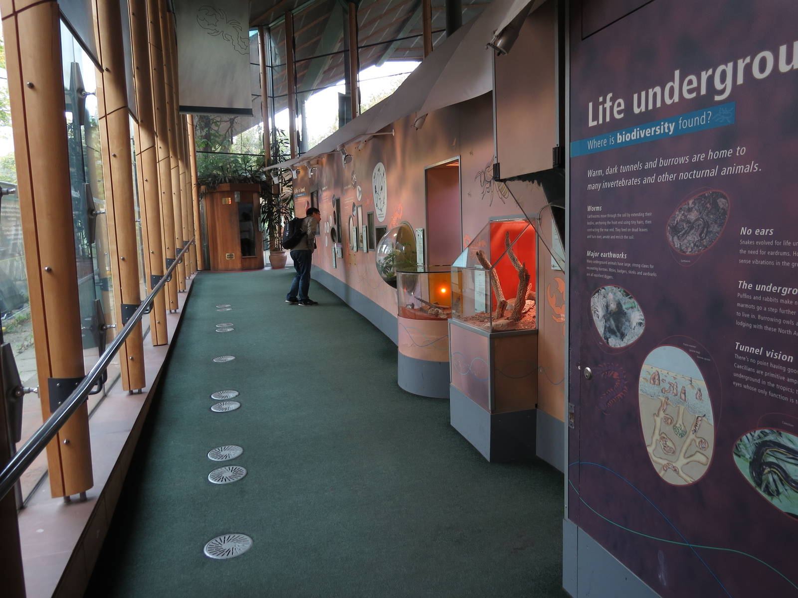 exhibits in BUGS part