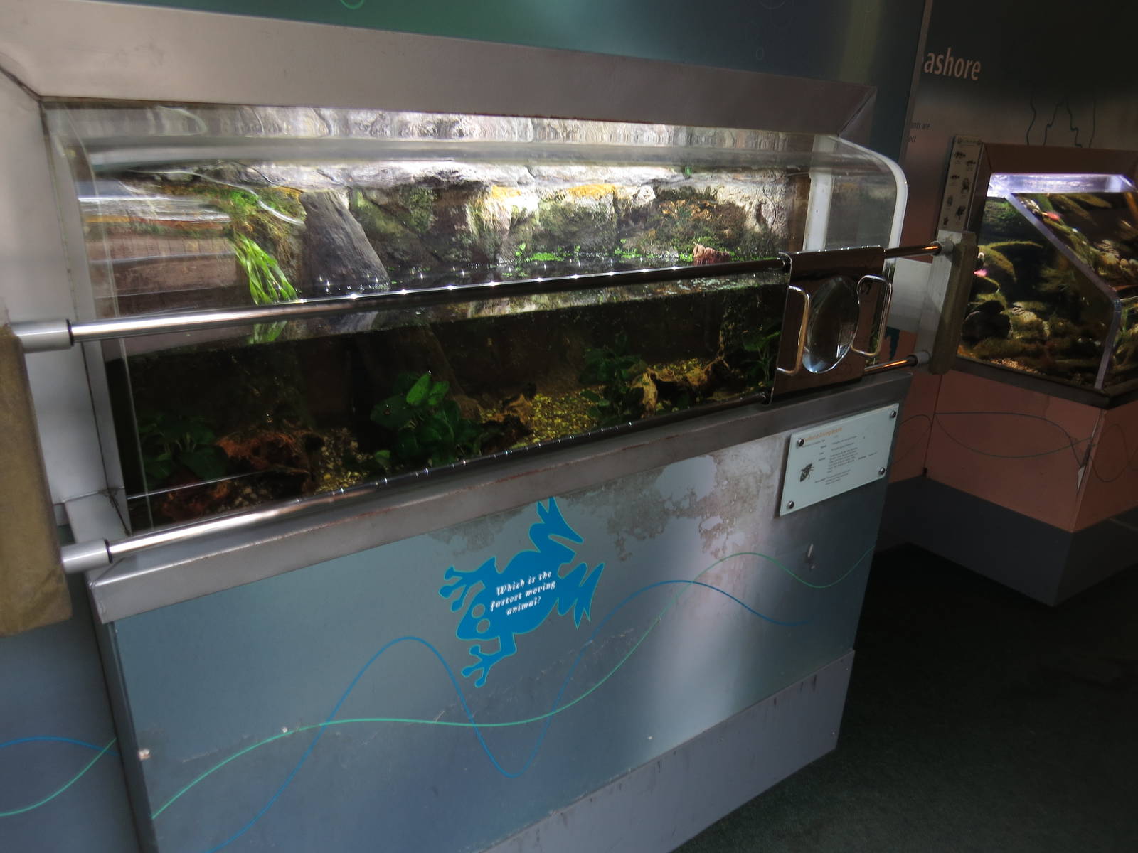 exhibits in BUGS part