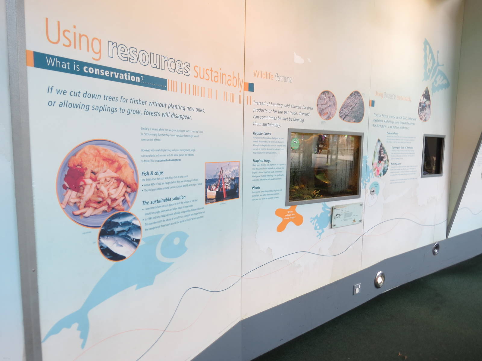 exhibits in BUGS part