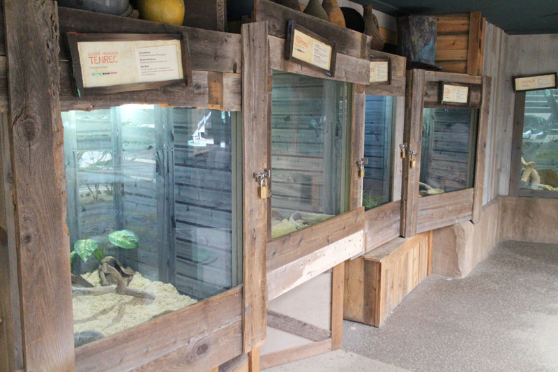 exhibits in Nairobi Village