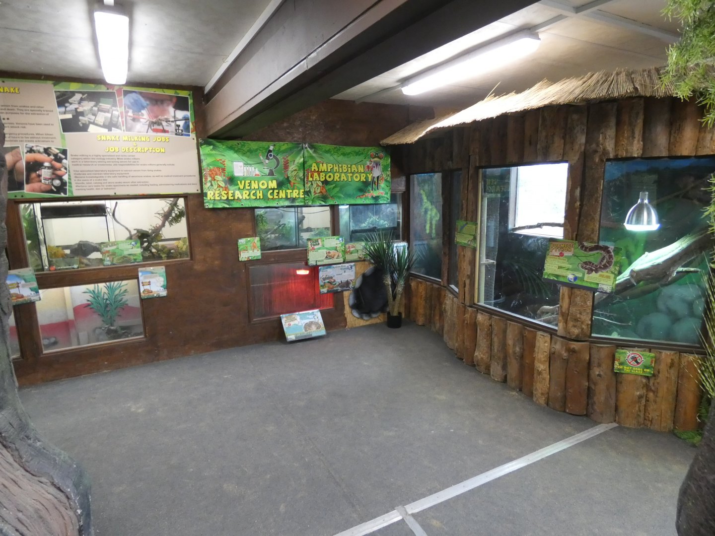Exhibits in Rainforest House (2)