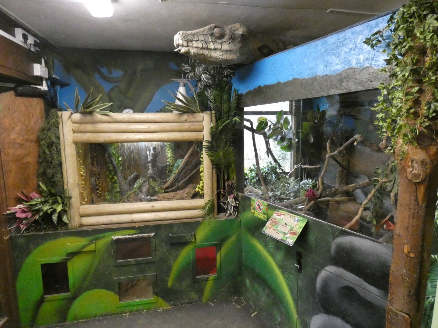 Exhibits in Rainforest house
