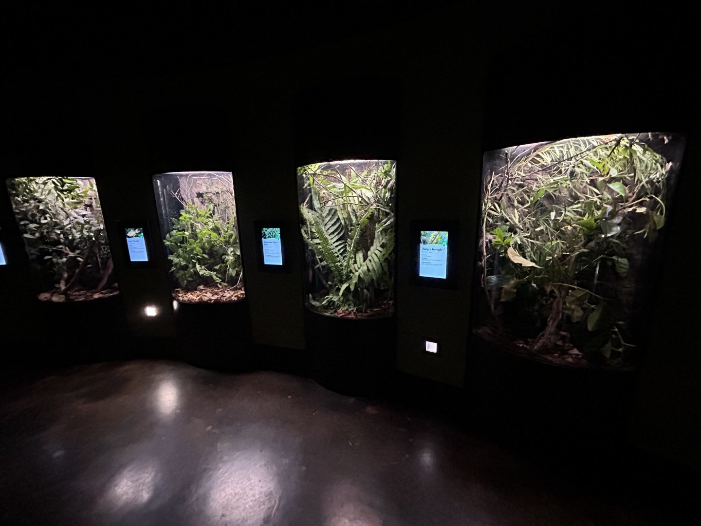 Exhibits in Spineless Marvels - Wildlife Explorers Basecamp