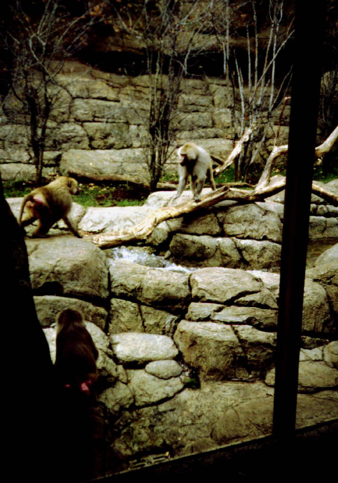 Exhibits of Prospect Park close to opening