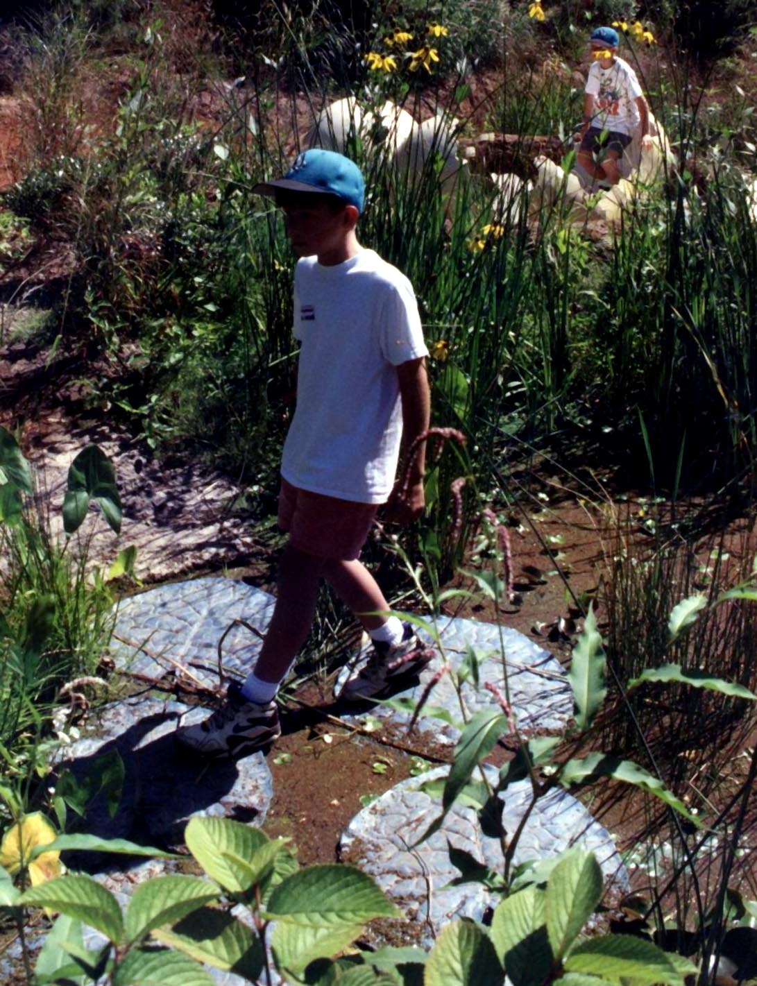 Exhibits of Prospect Park close to opening