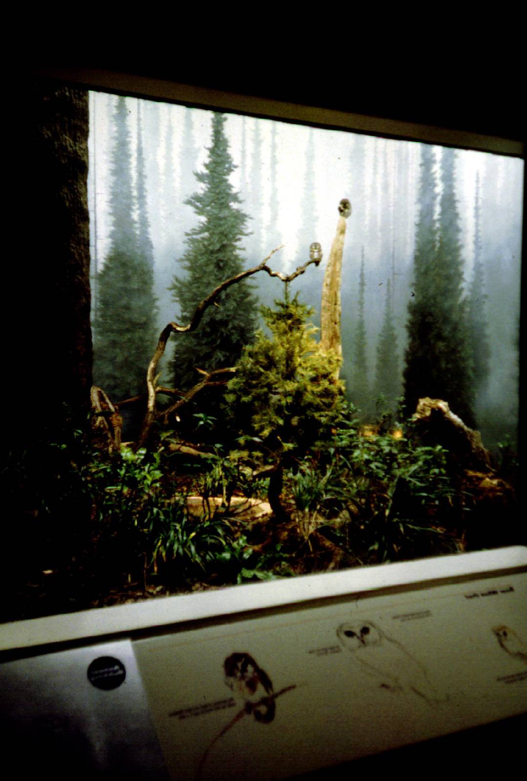 Exhibits of Prospect Park close to opening