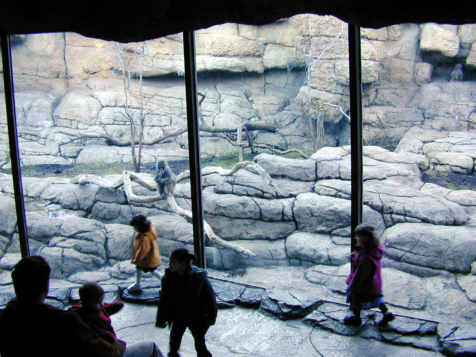 Exhibits of Prospect Park close to opening