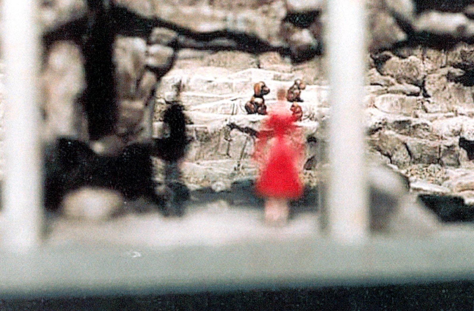 Exhibits of Prospect Park close to opening