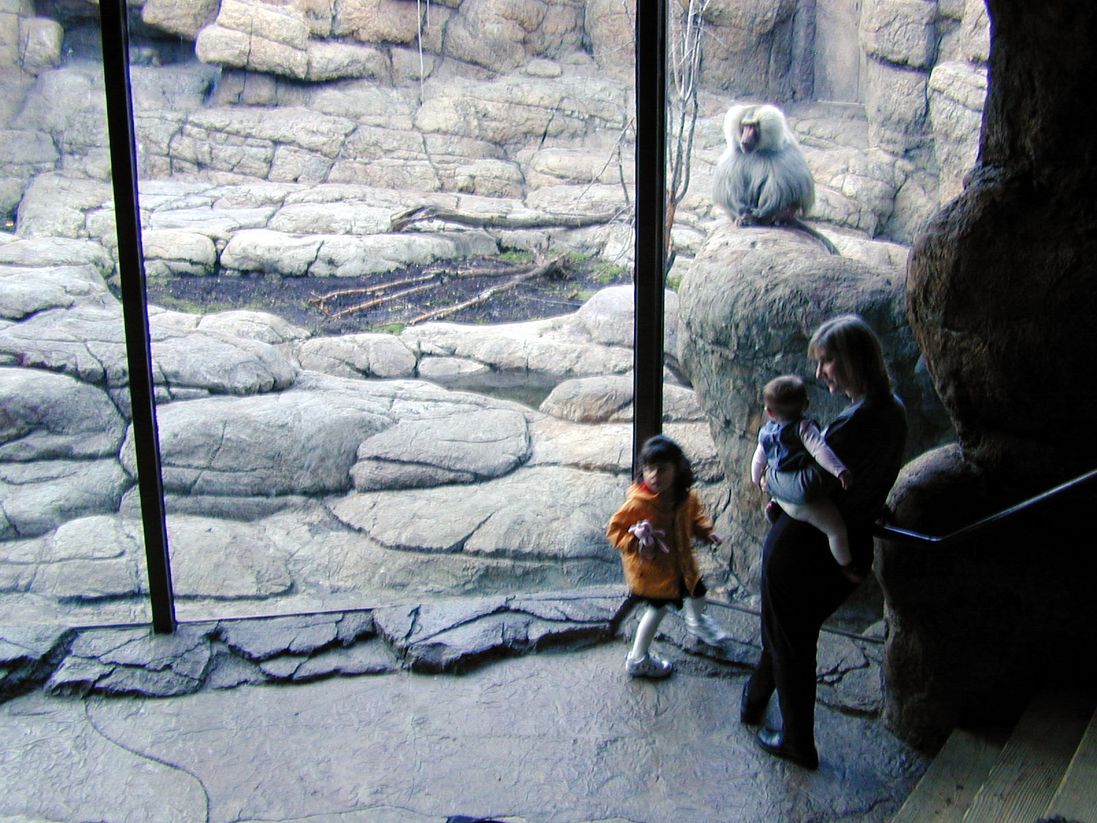 Exhibits of Prospect Park close to opening