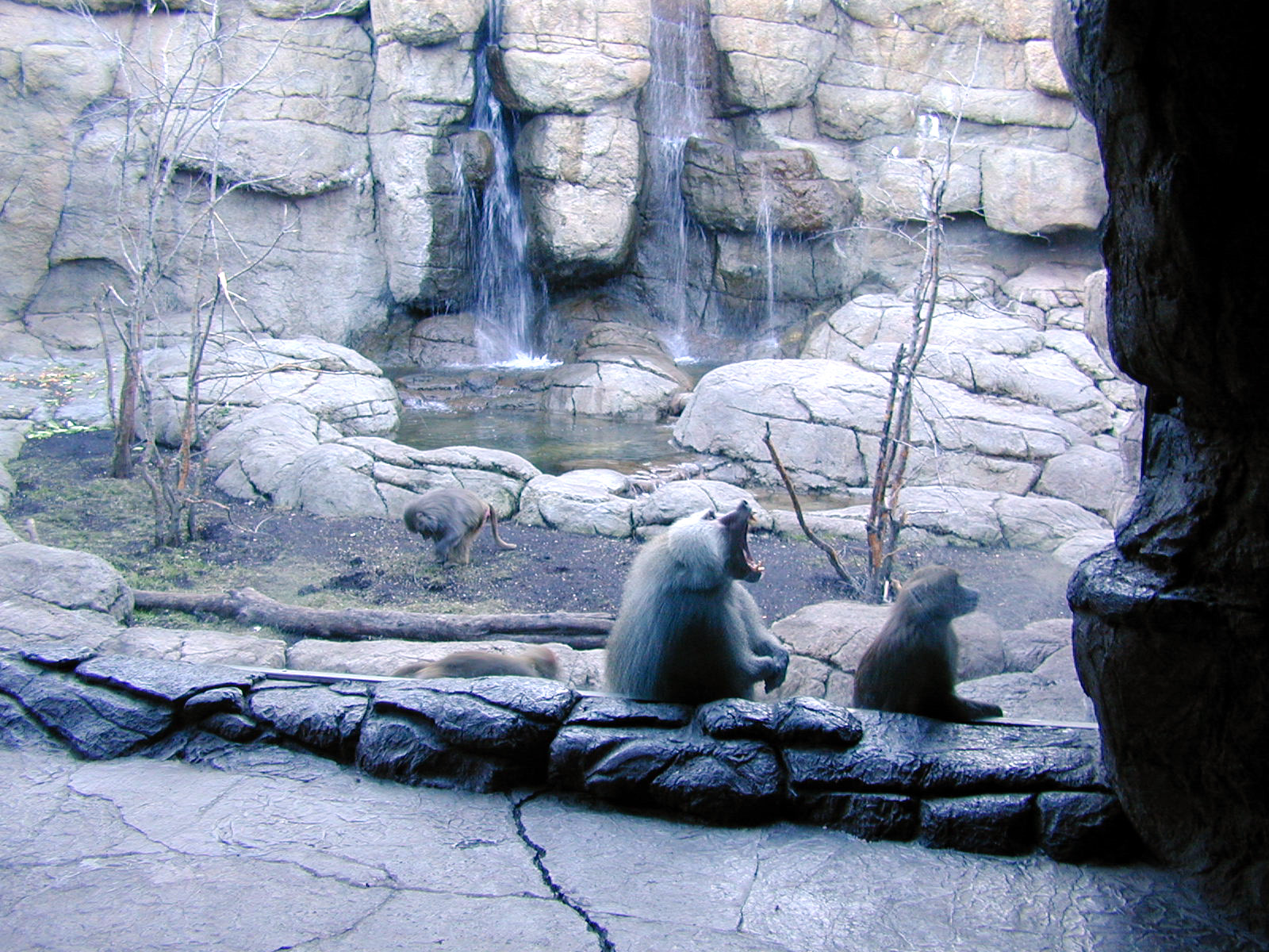 Exhibits of Prospect Park close to opening