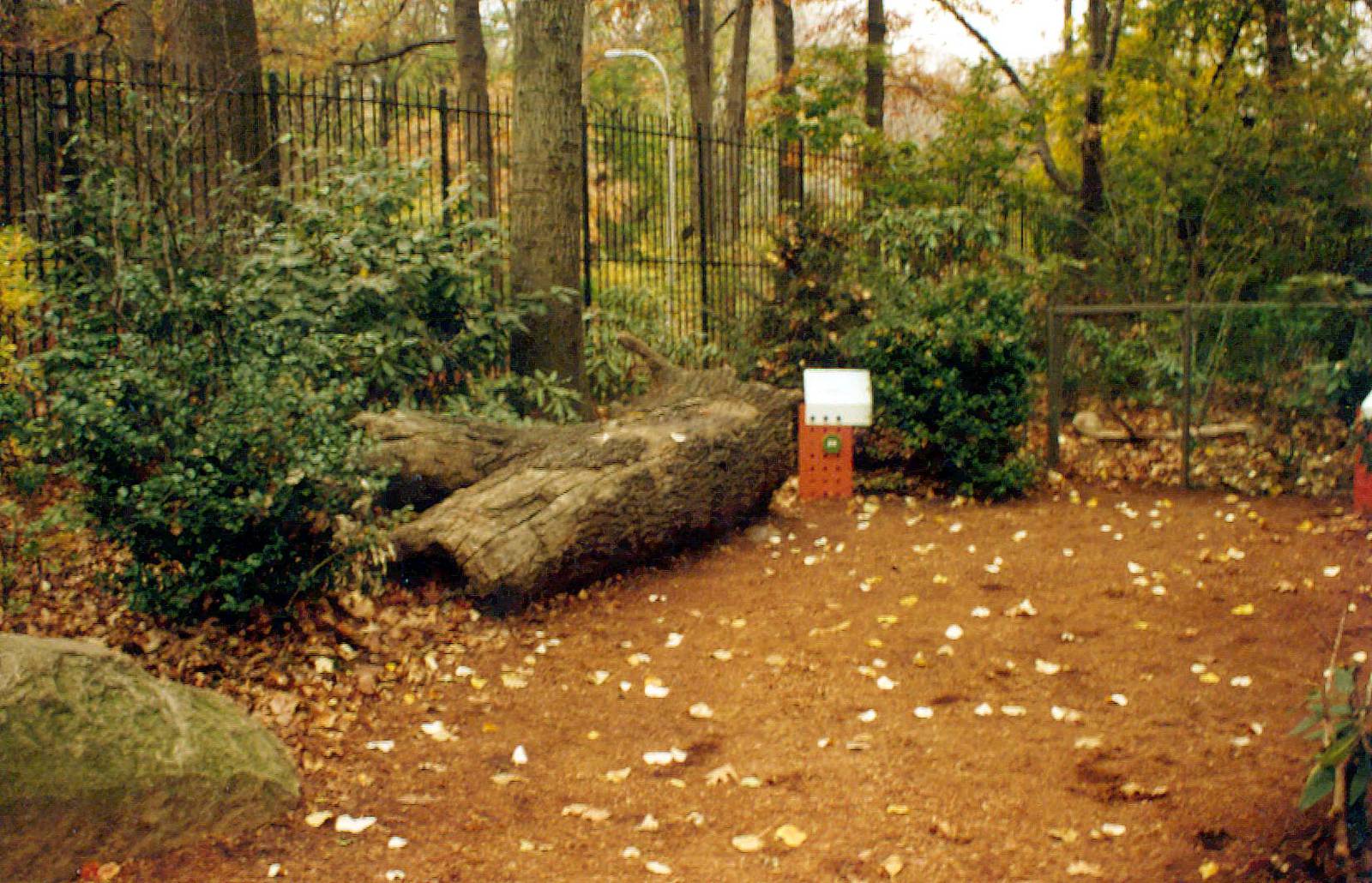 Exhibits of Prospect Park close to opening