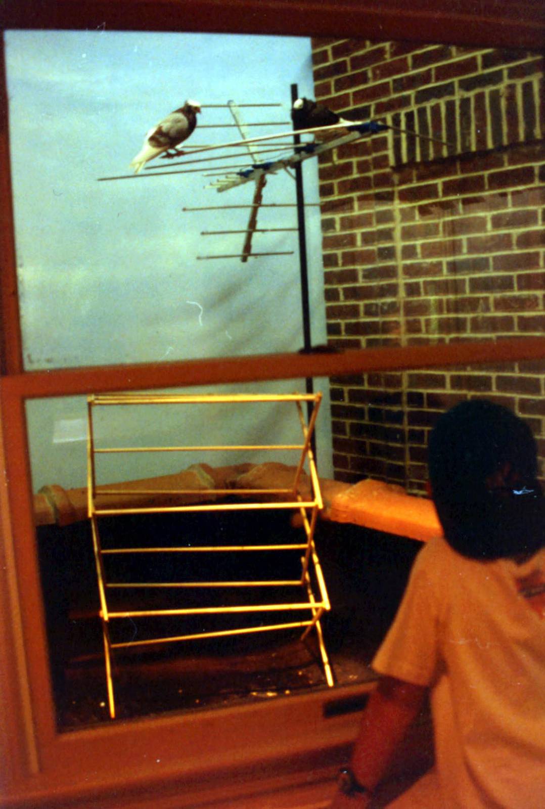 Exhibits of Prospect Park close to opening