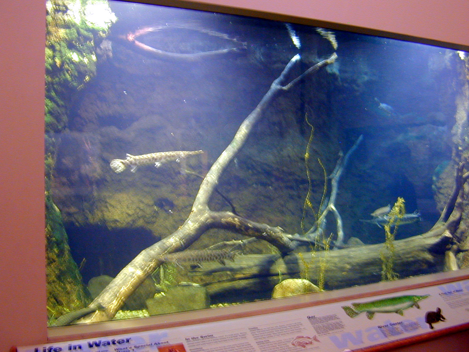 Exhibits of Prospect Park close to opening