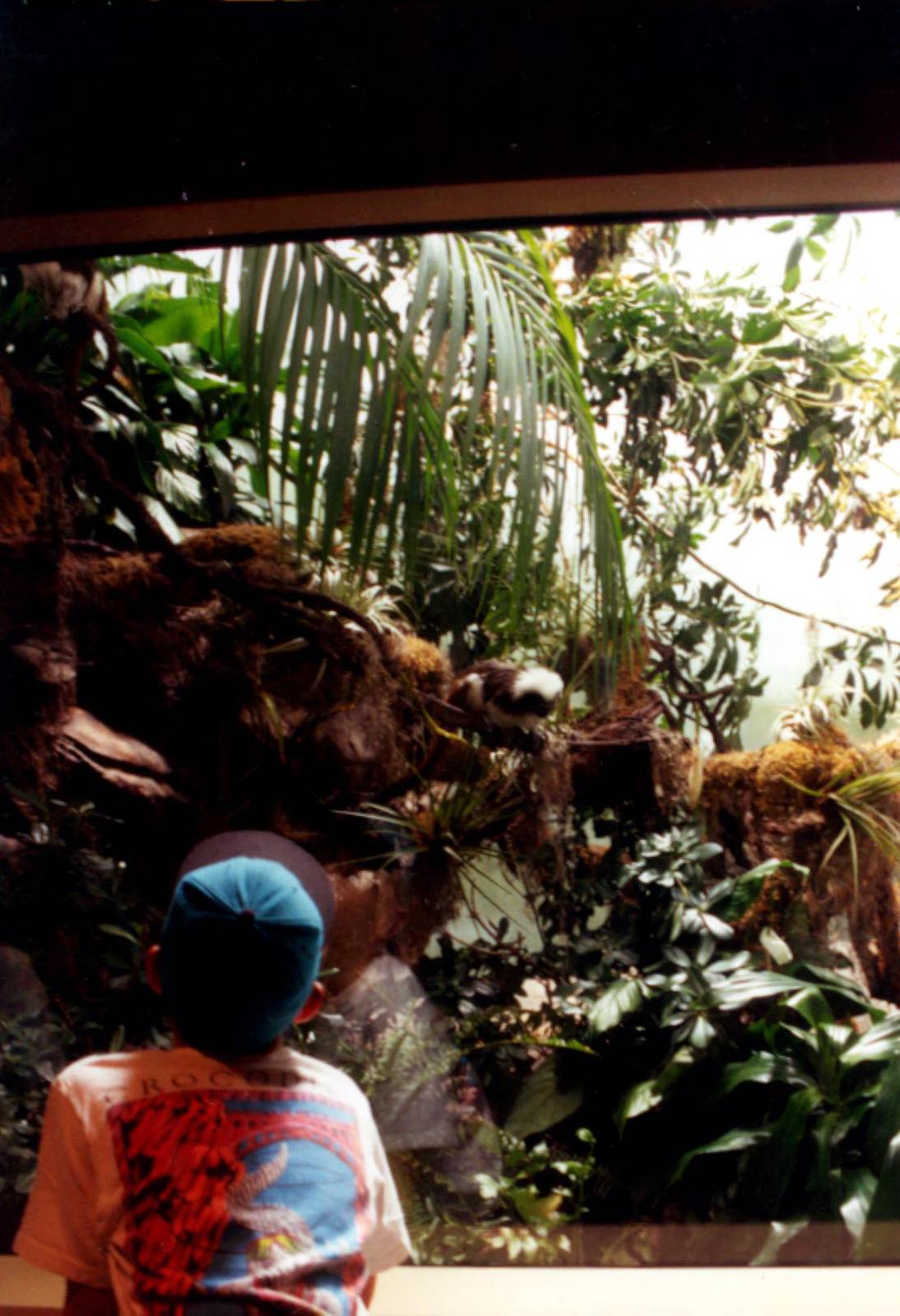 Exhibits of Prospect Park close to opening