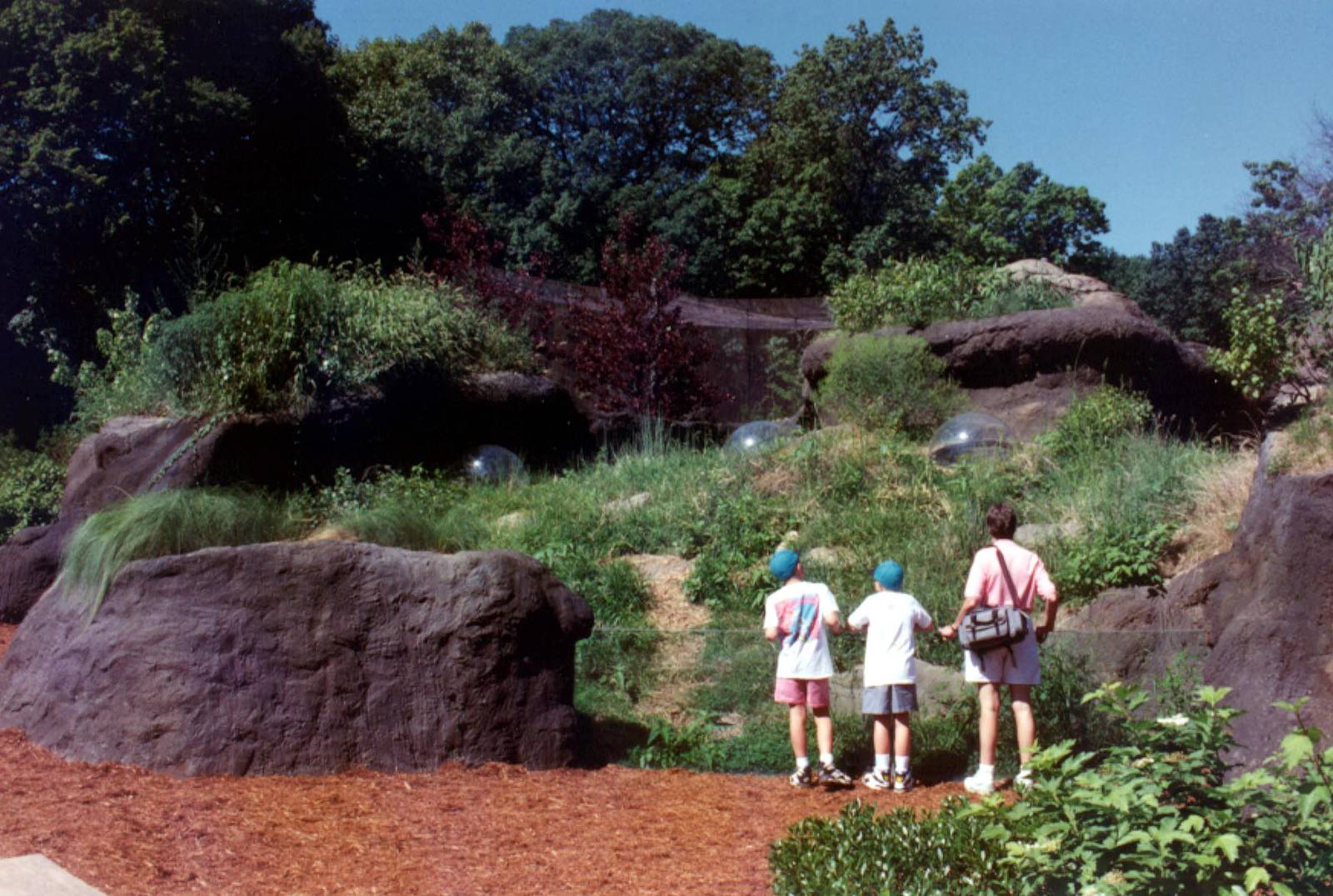 Exhibits of Prospect Park close to opening