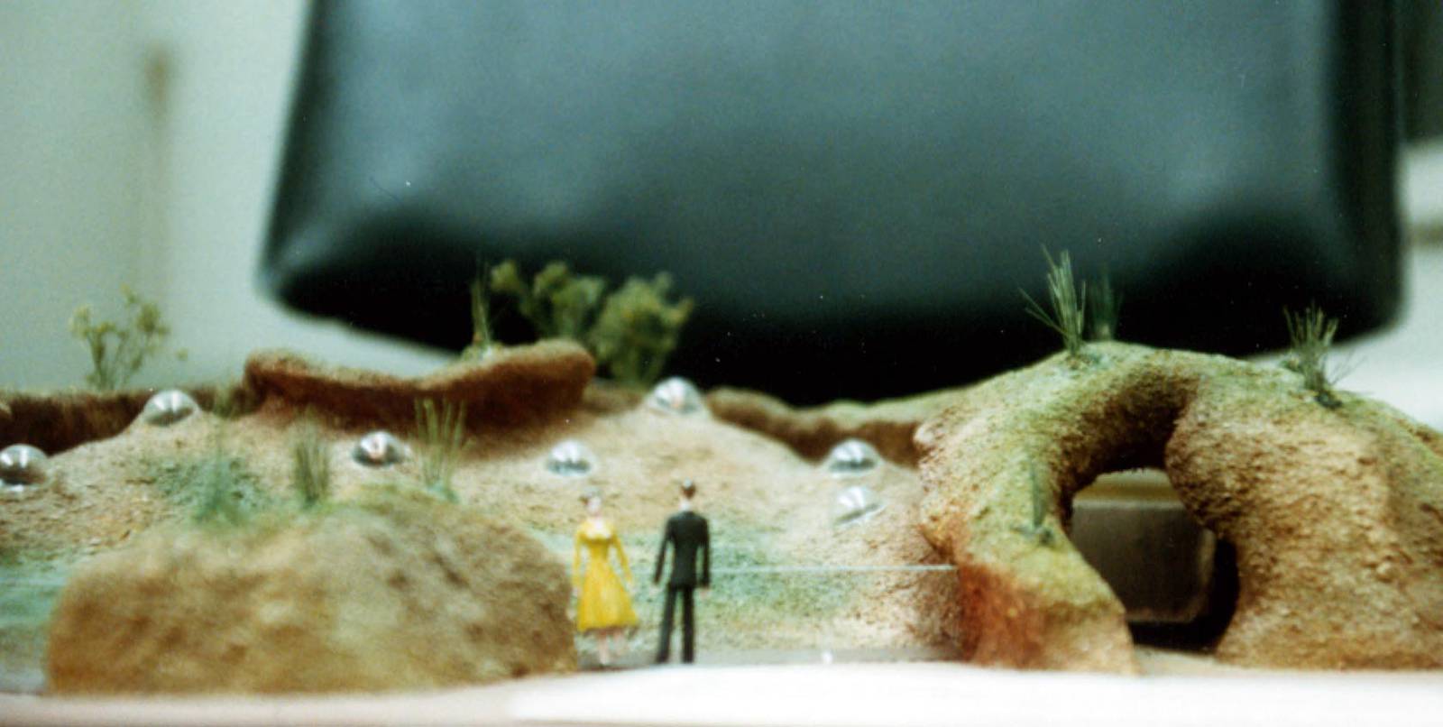 Exhibits of Prospect Park close to opening