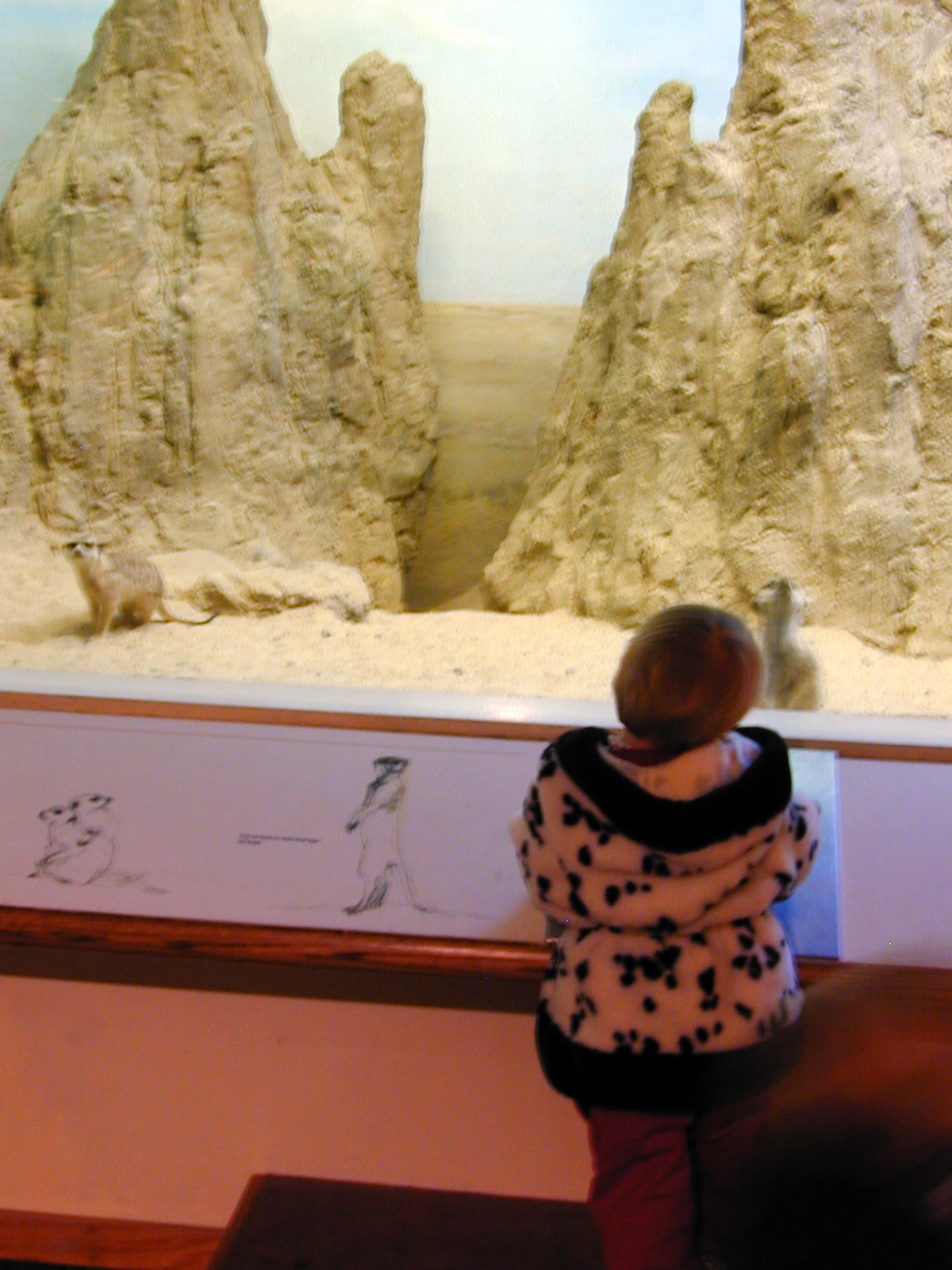 Exhibits of Prospect Park close to opening