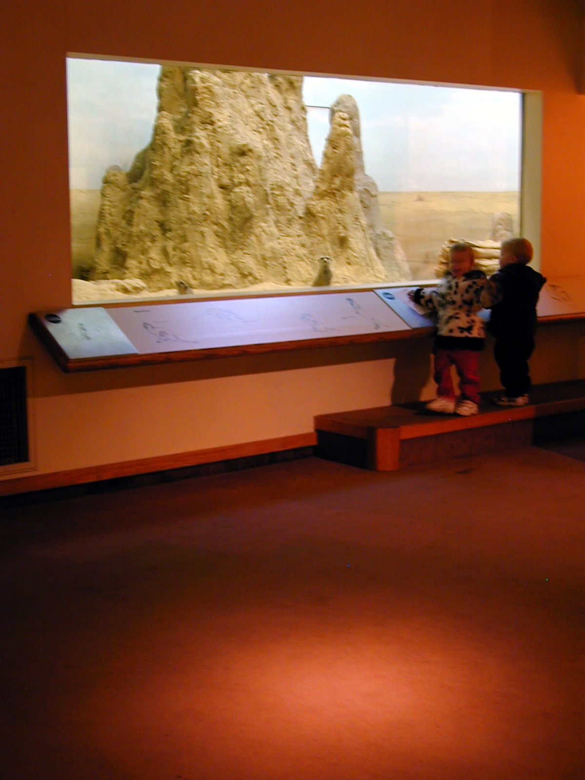 Exhibits of Prospect Park close to opening