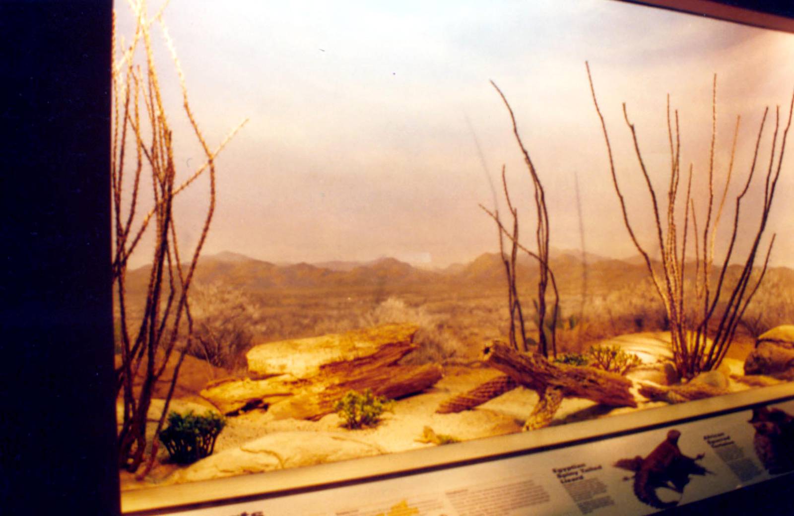 Exhibits of Prospect Park close to opening