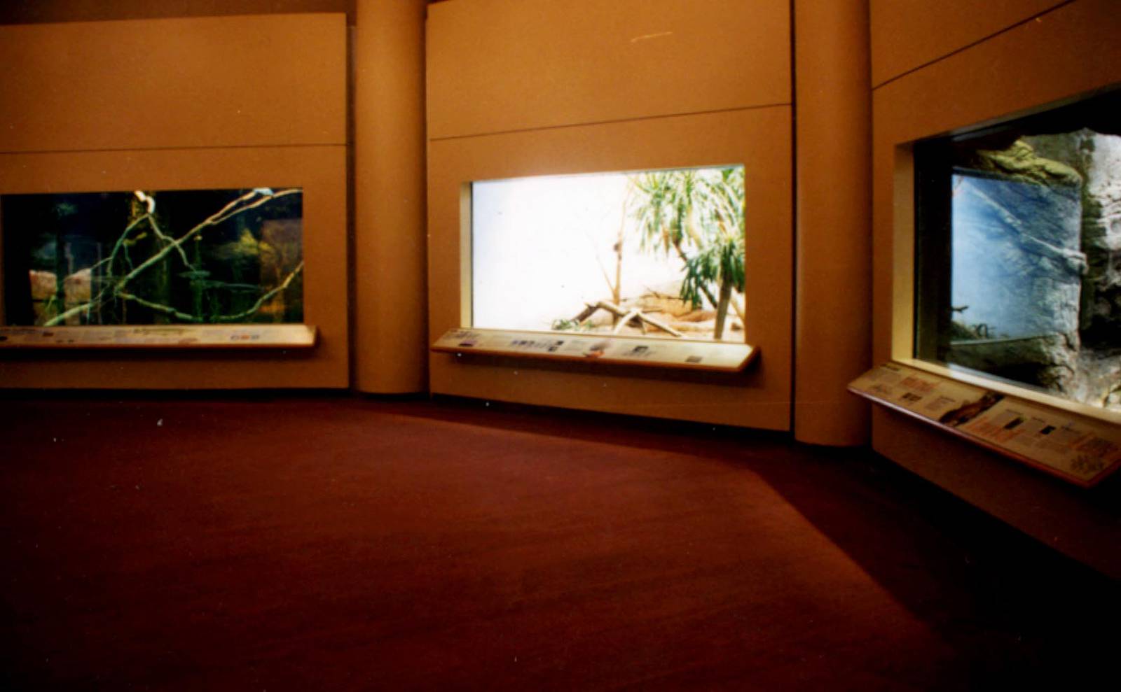 Exhibits of Prospect Park close to opening