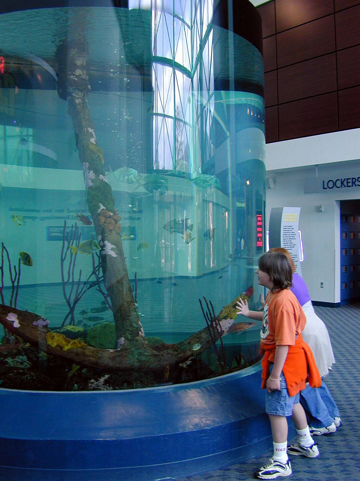 Exhibits of the Aquarium in Gatlinbury