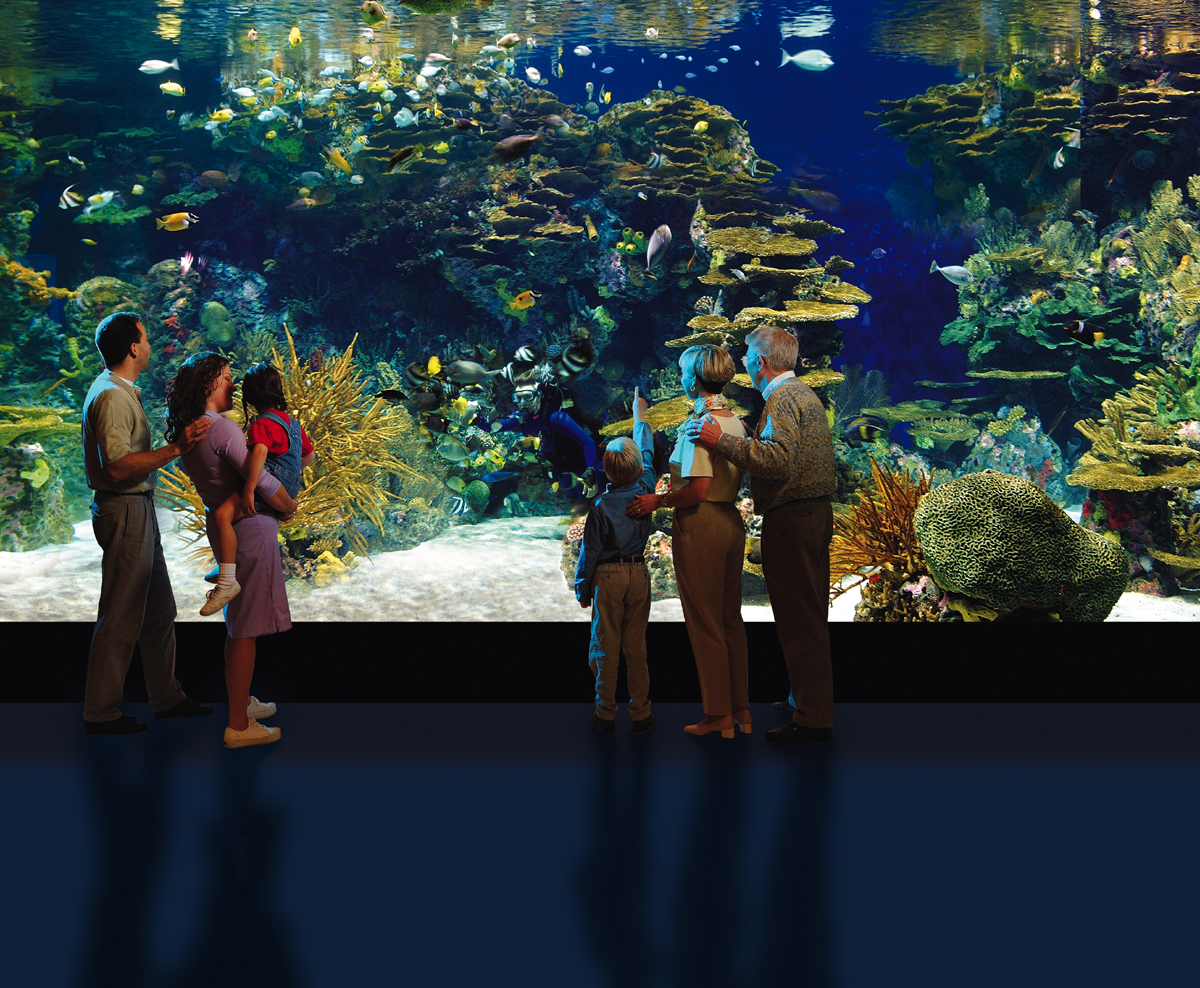 Exhibits of the Aquarium in Gatlinbury