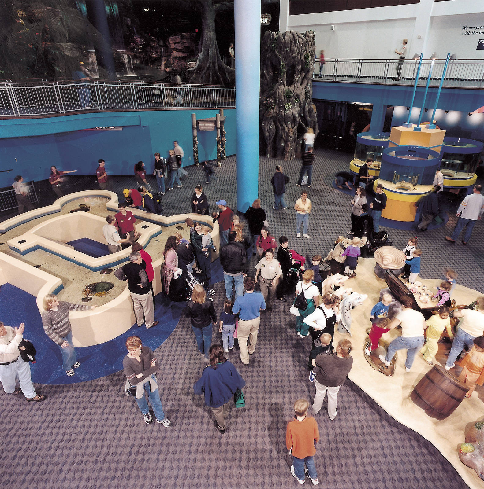 Exhibits of the Aquarium in Gatlinbury
