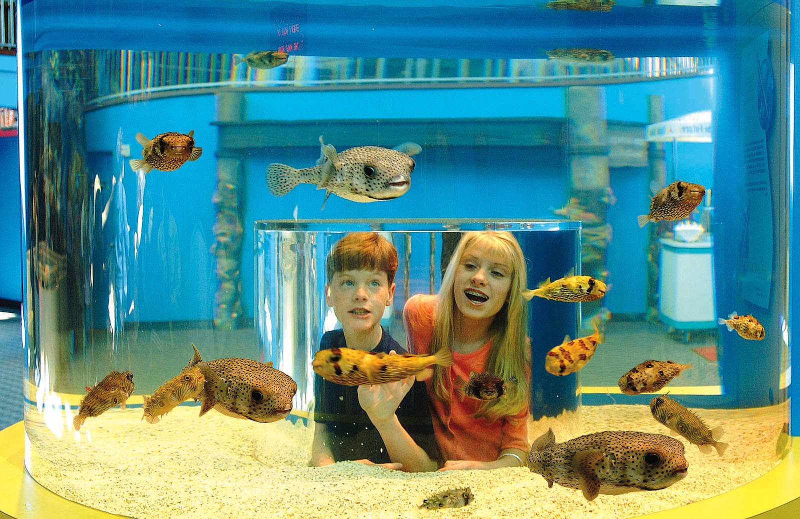 Exhibits of the Aquarium in Gatlinbury