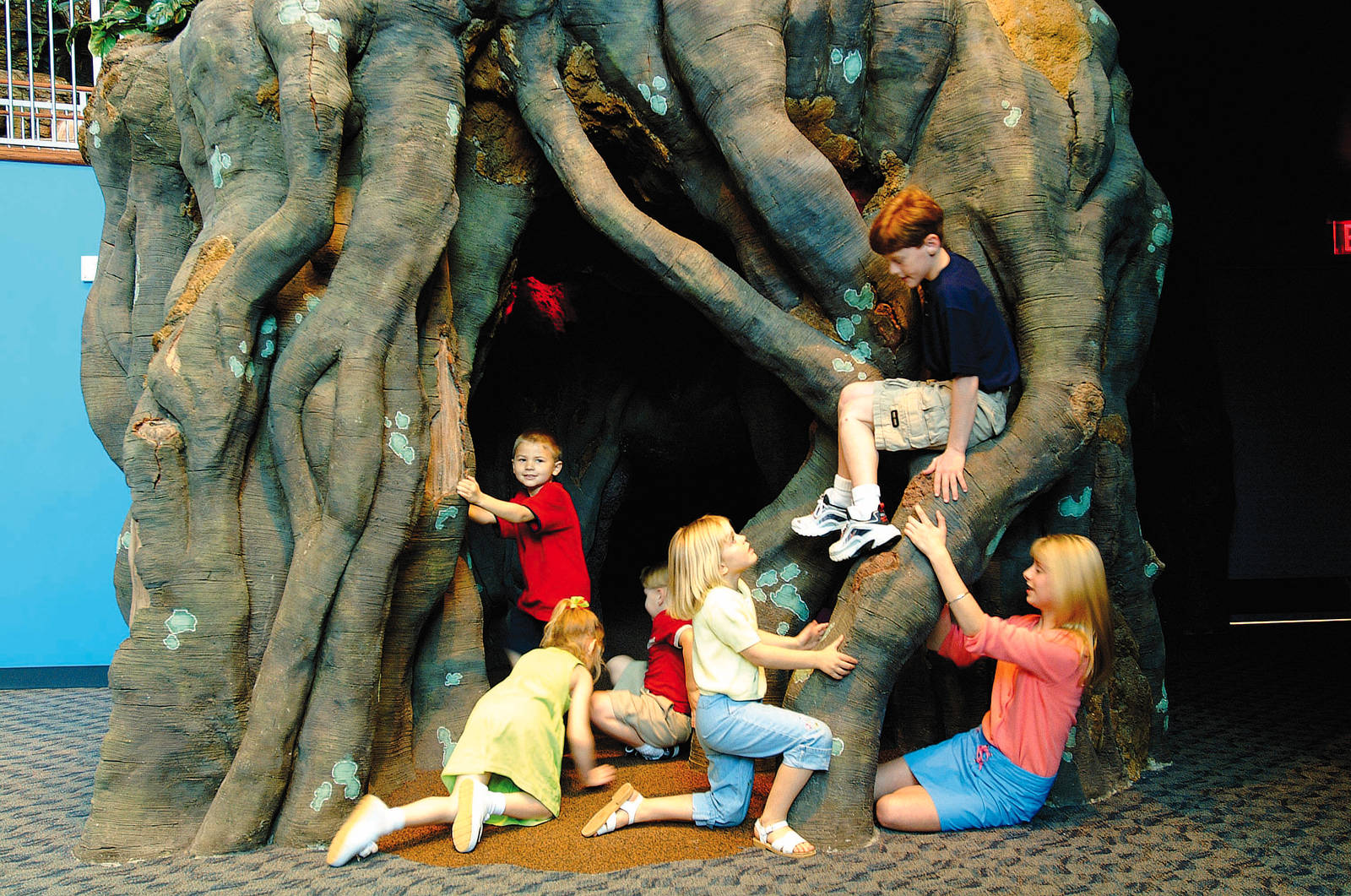 Exhibits of the Aquarium in Gatlinbury