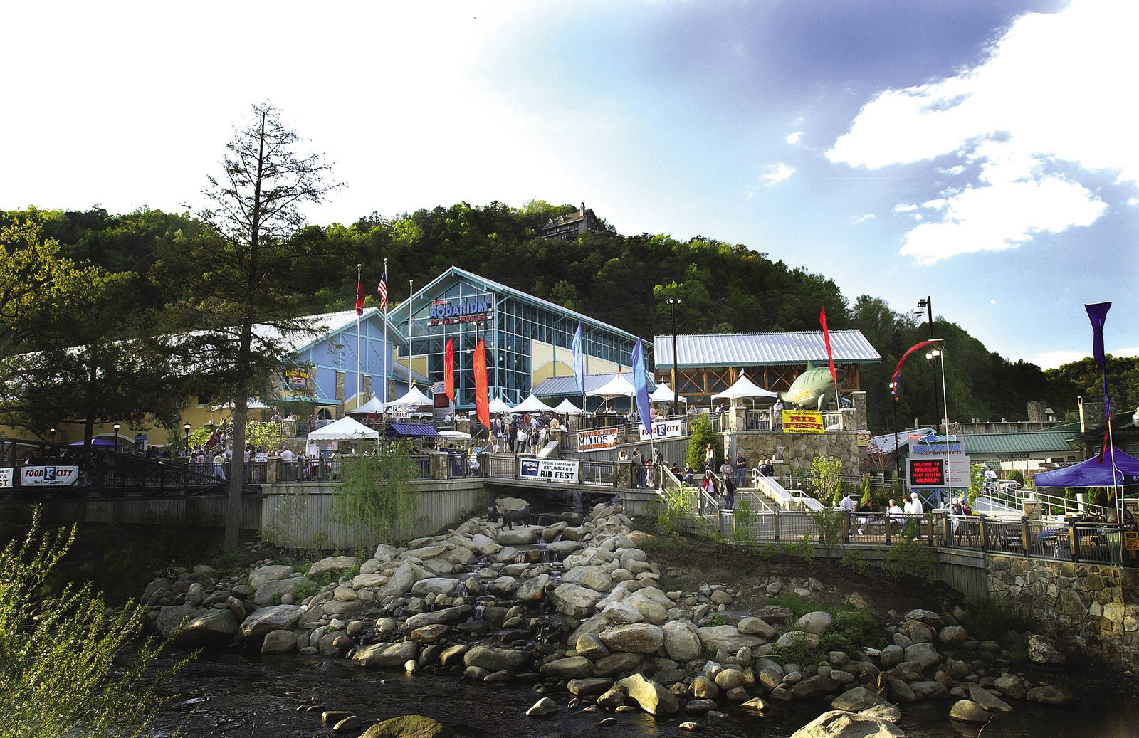 Exhibits of the Aquarium in Gatlinbury