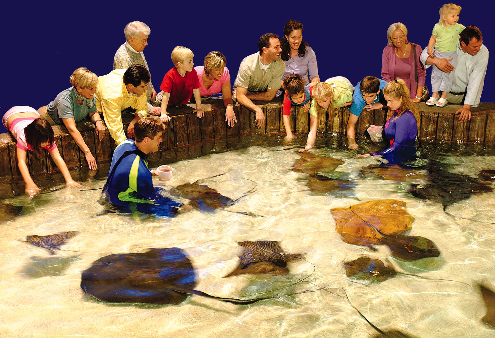 Exhibits of the Aquarium in Gatlinbury