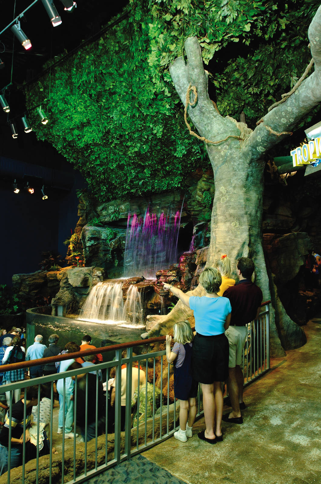 Exhibits of the Aquarium in Gatlinbury