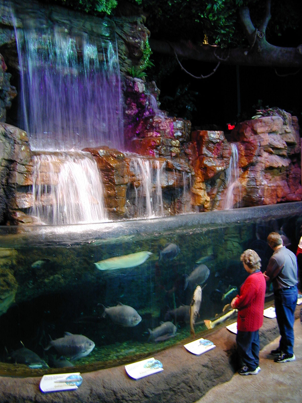 Exhibits of the Aquarium in Gatlinbury