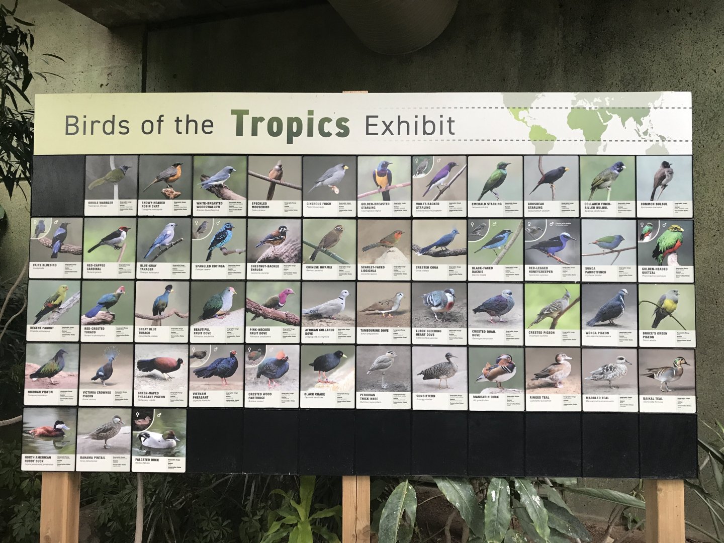 Exhibits signage