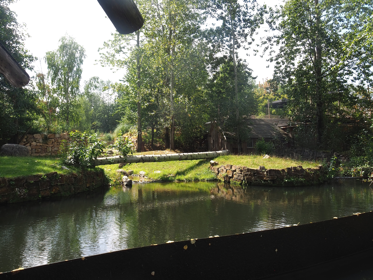 Existing lowland tapir exhibit, now part of the pampa exhibit with lowland tapirs, vicuñas and Darwin's rheas 2022-08-20