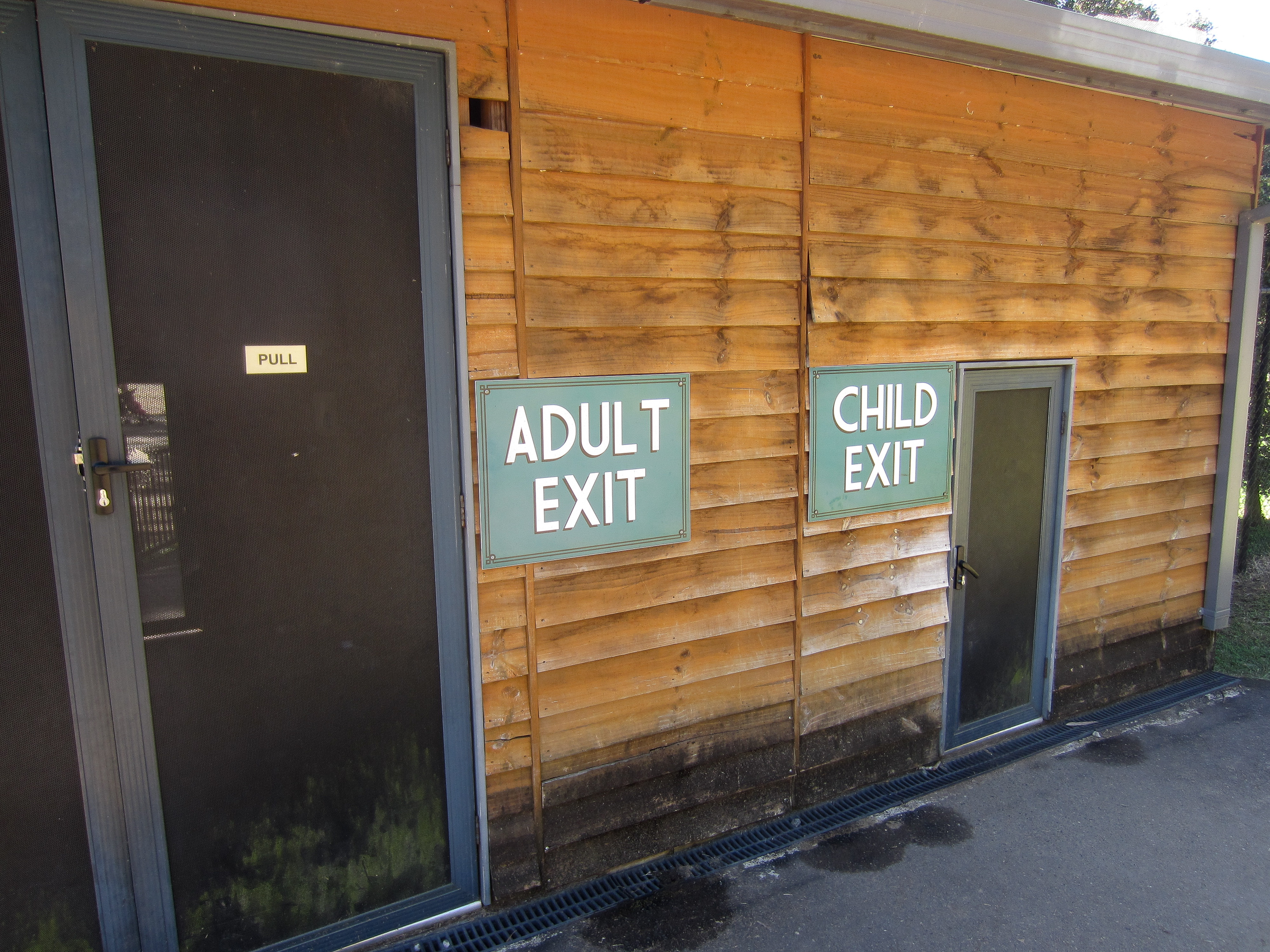 Exit from the Kangaroo Walkthough