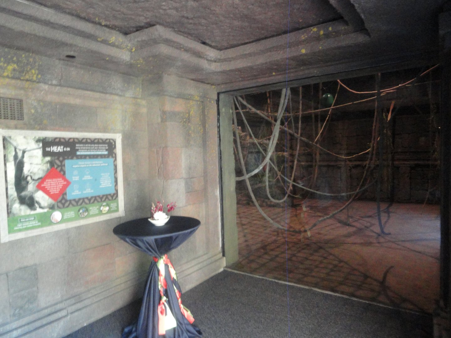 Exit lobby with Siamang Indoor Holding Viewing