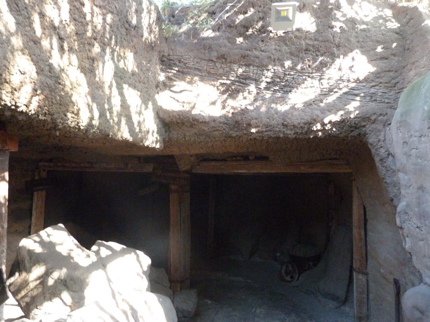 Exit of "Misterios bajo tierra" -Faunia (2025)