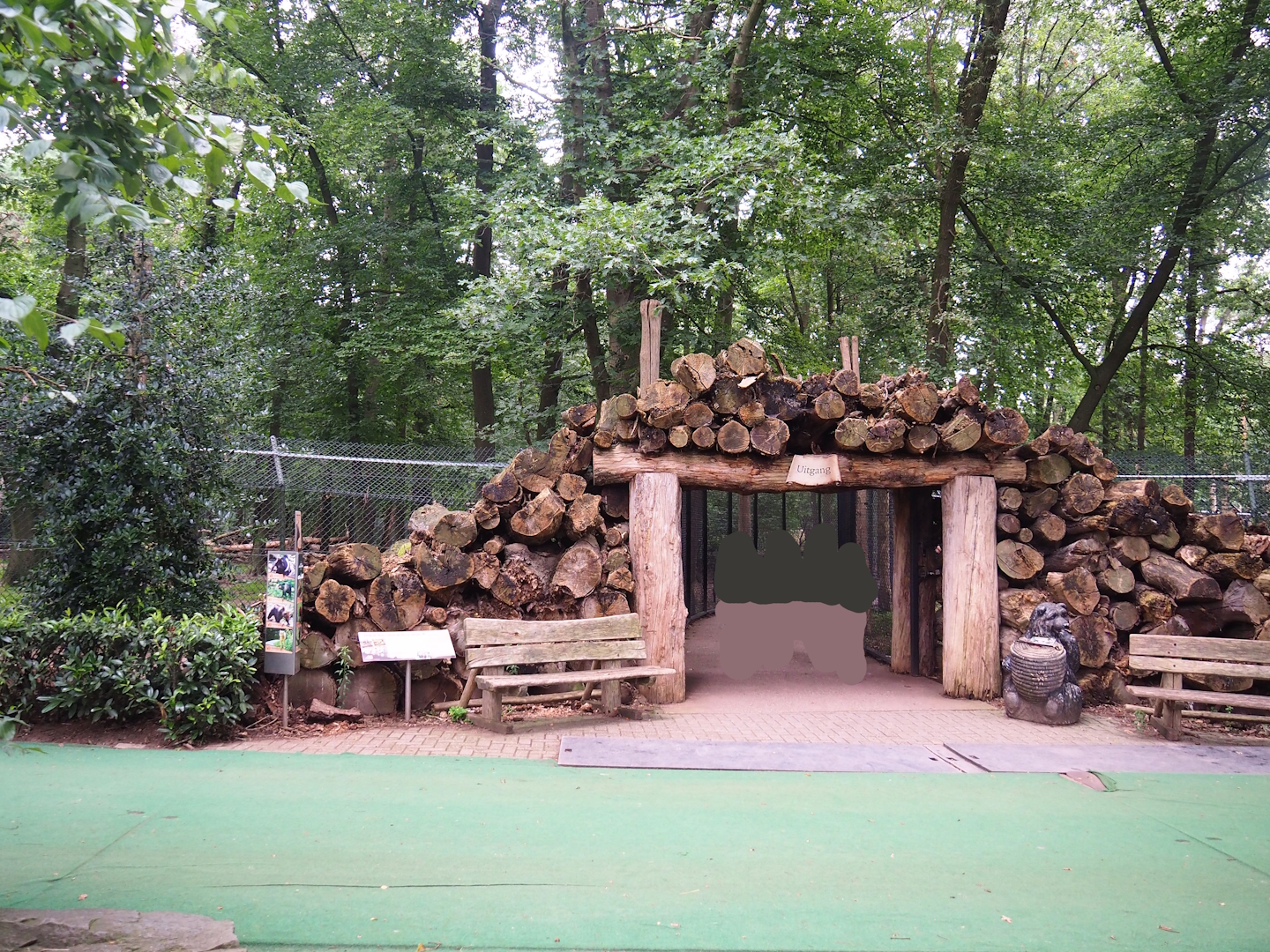 Exit of the bear forest, 2023-08-17