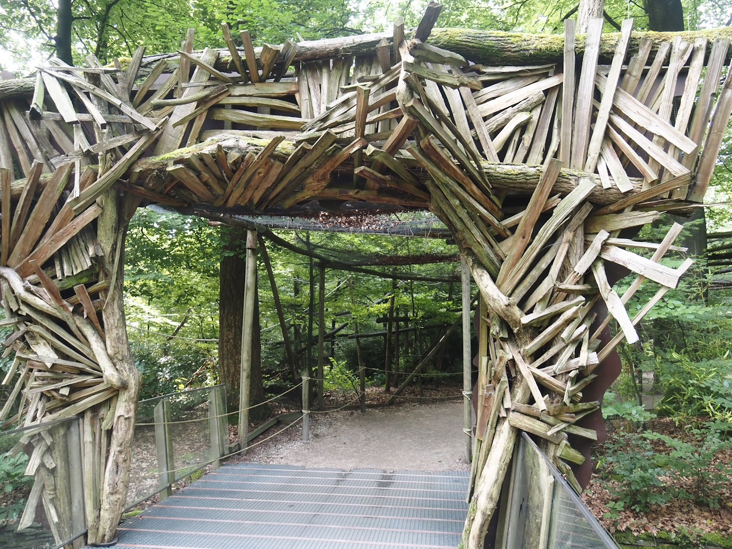 Exit of the Bolivian squirrel monkey forest, 2024-08-18