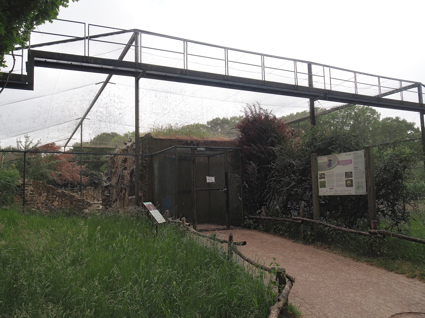 Exit of the Humboldt penguin and Inca tern aviary, 2025-05-22