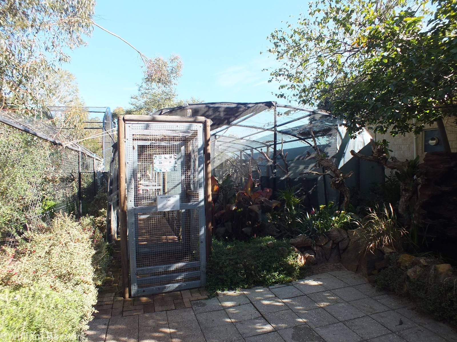 Exit Side of Walkthrough Aviary