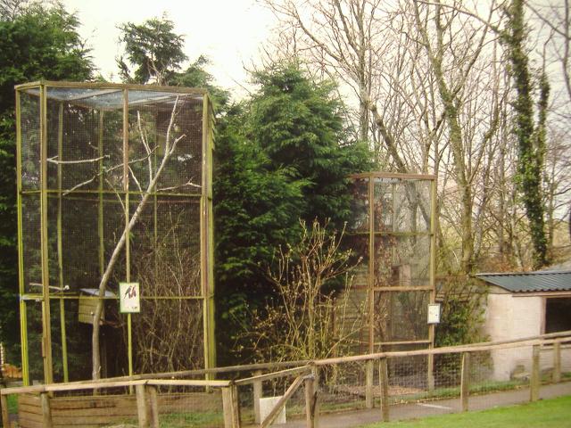 Exmoor Squirrel cages
