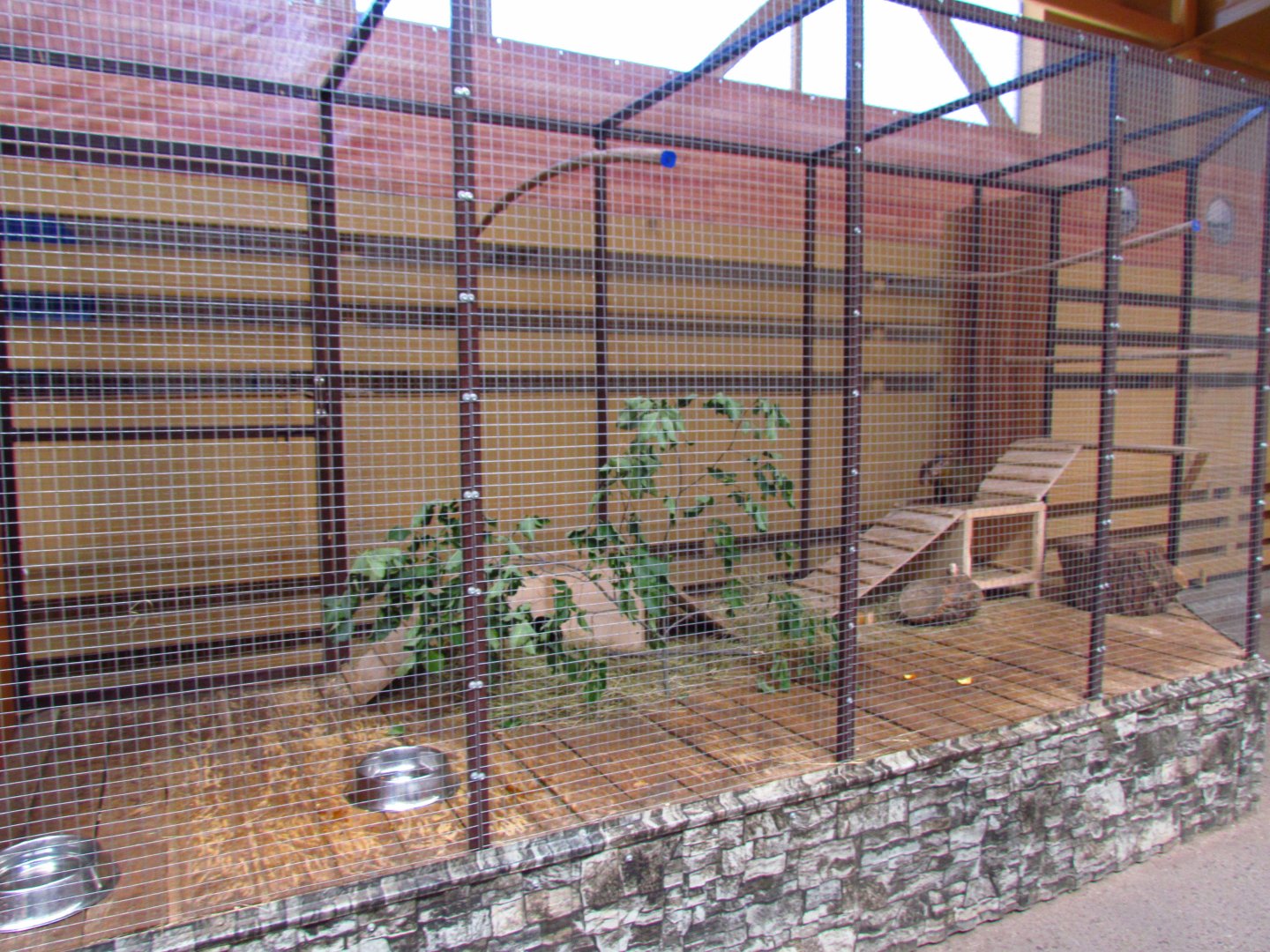 Exotarium, 2nd agouti exhibit