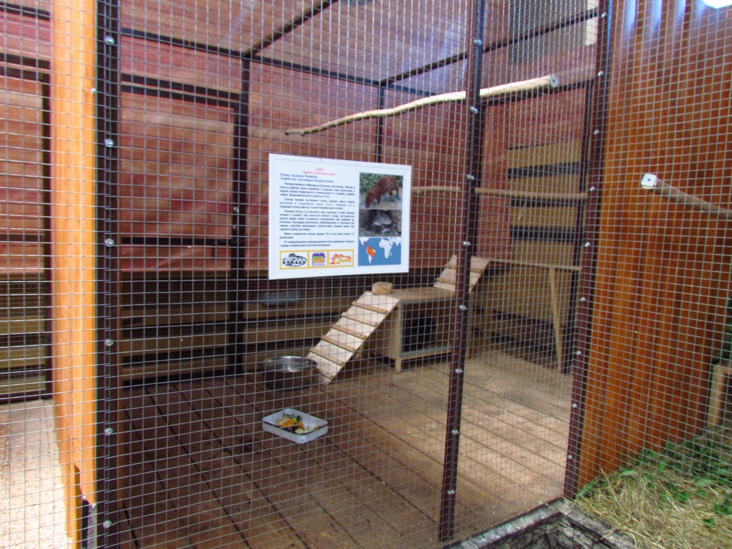 Exotarium, 2nd lowland paca exhibit