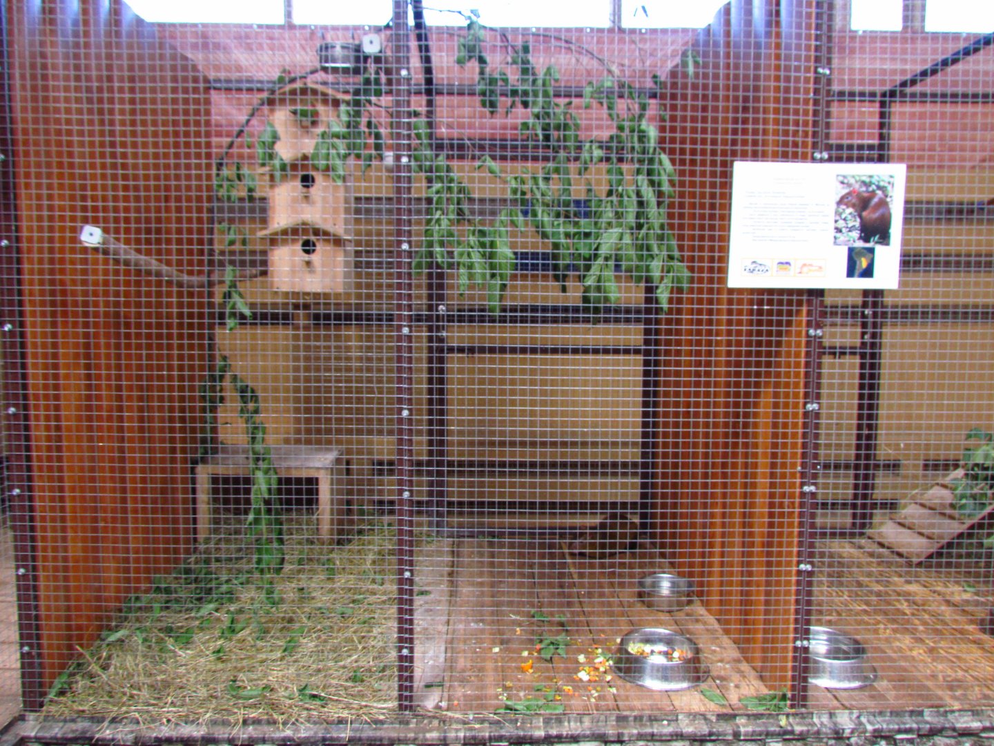 Exotarium, agouti exhibit