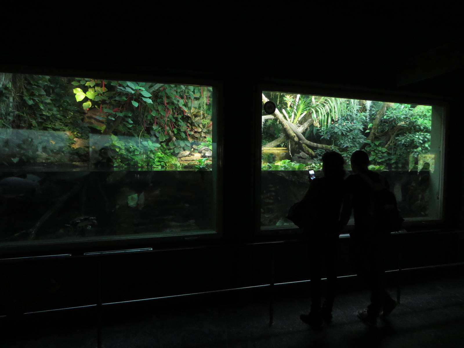 Exotarium - Amazonia