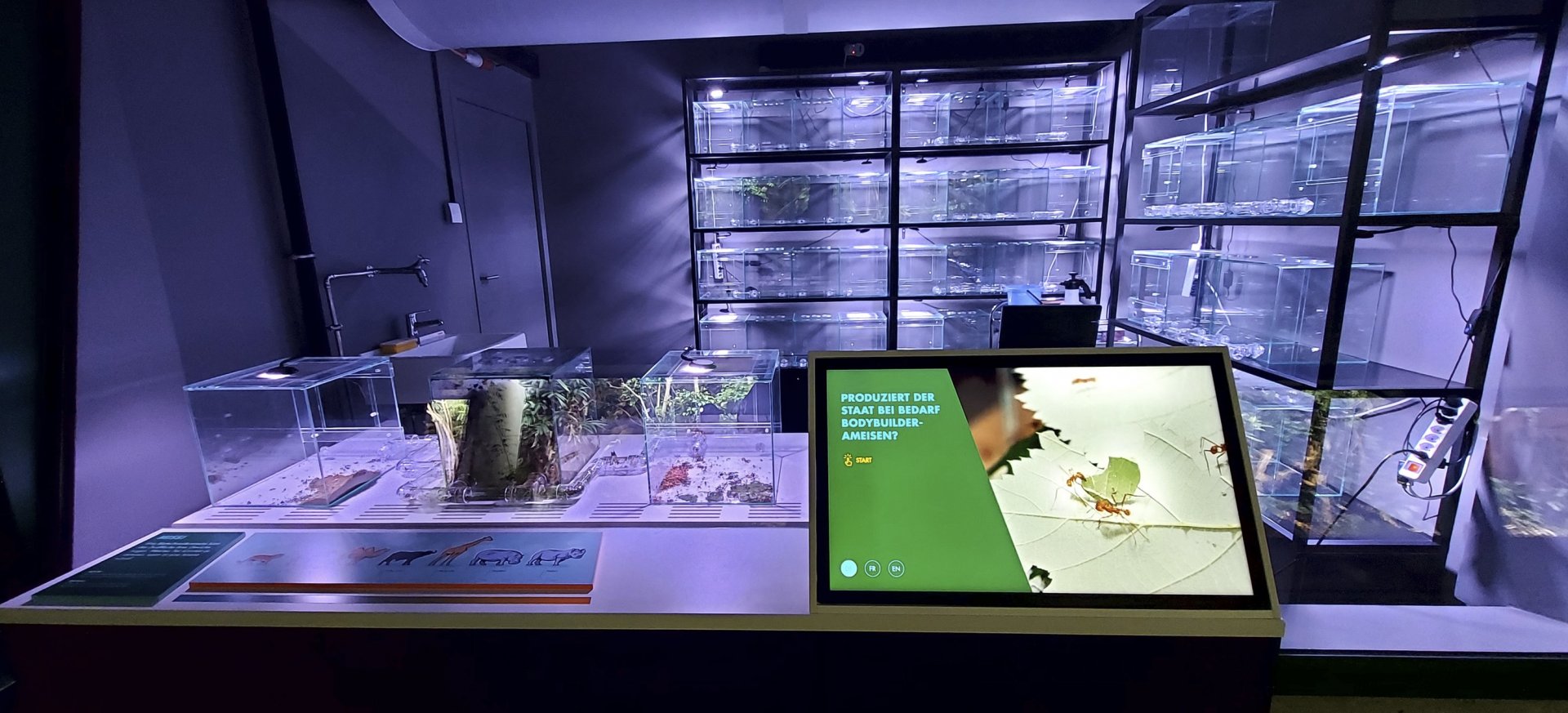 Exotarium - another research station