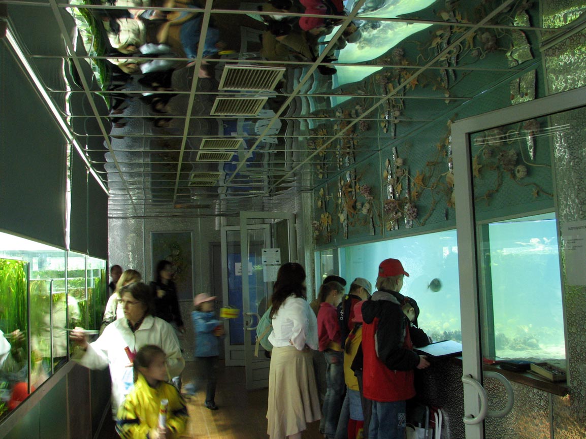 Exotarium - aquarium exhibit