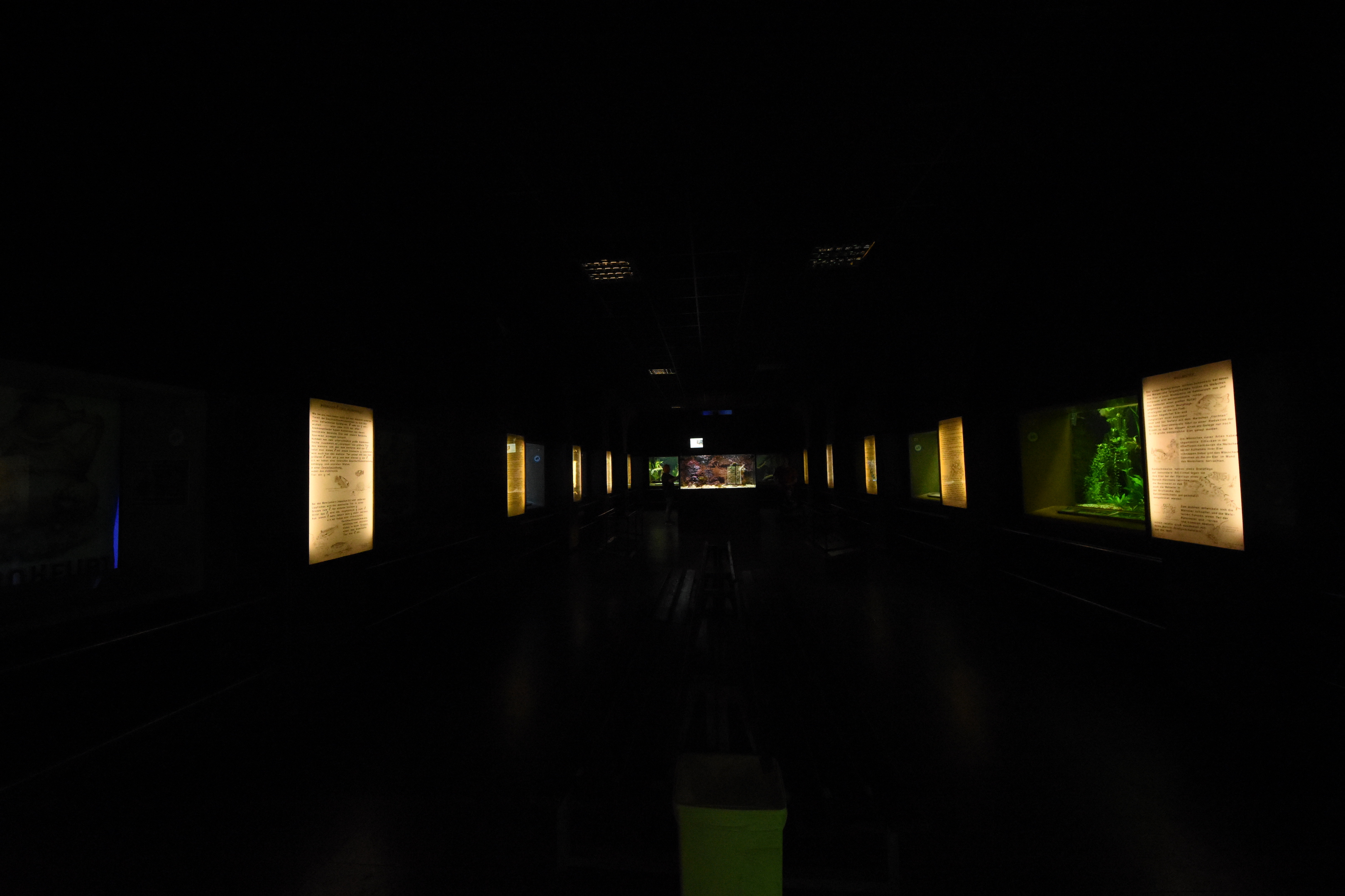 Exotarium - Aquarium section